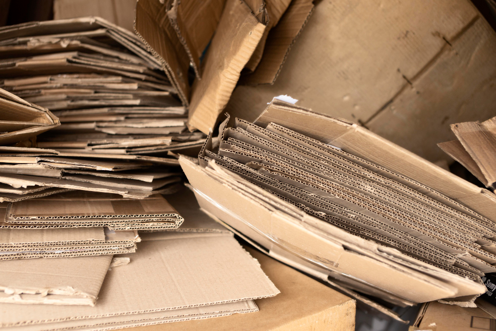 Exploring Types of Cardboard and Recycling